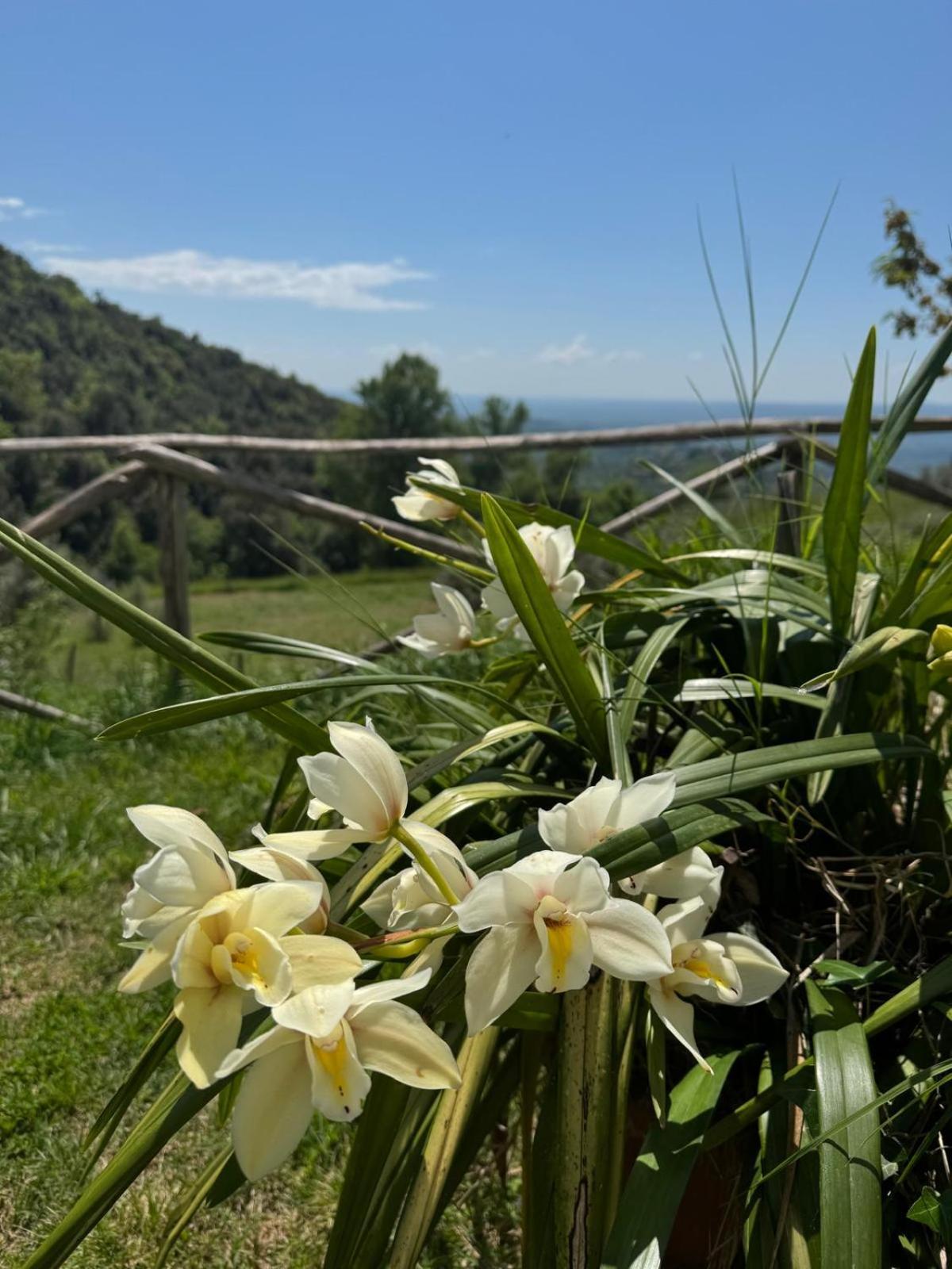 Casa Franceschini Villa Poggio Mirteto Exterior photo